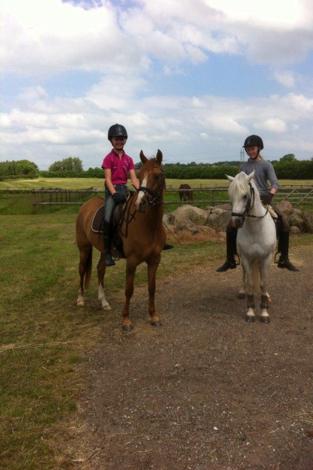 DSP RS Private Dancer - SOLGT billede 6