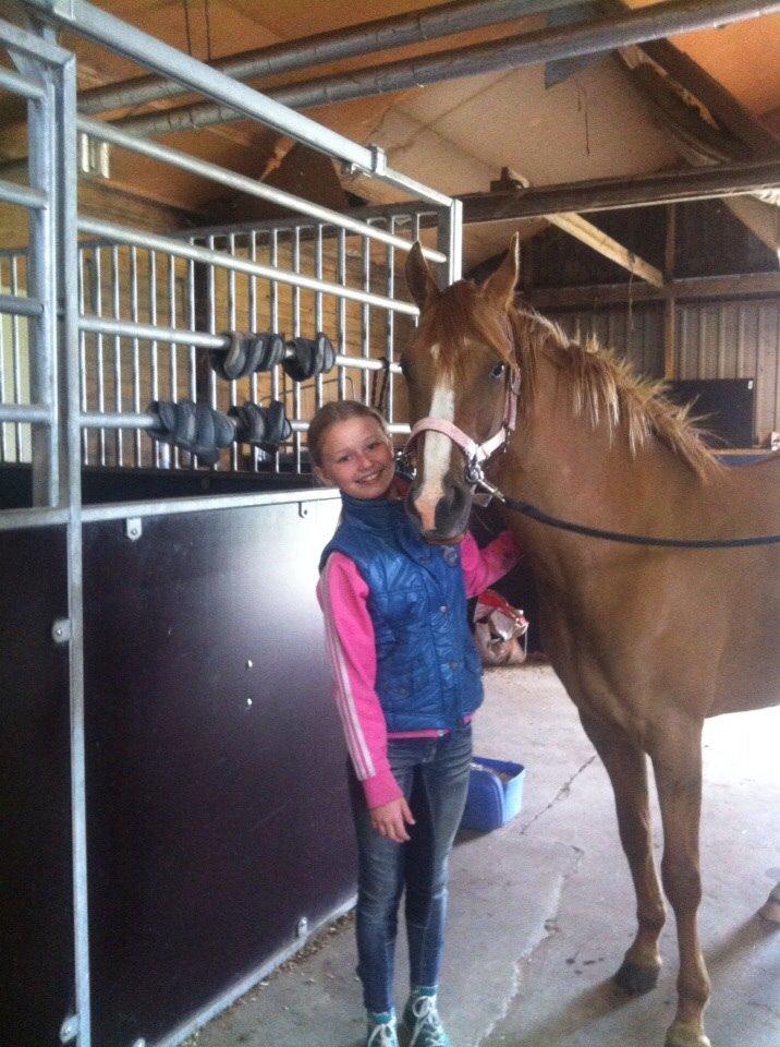 DSP RS Private Dancer - SOLGT billede 5