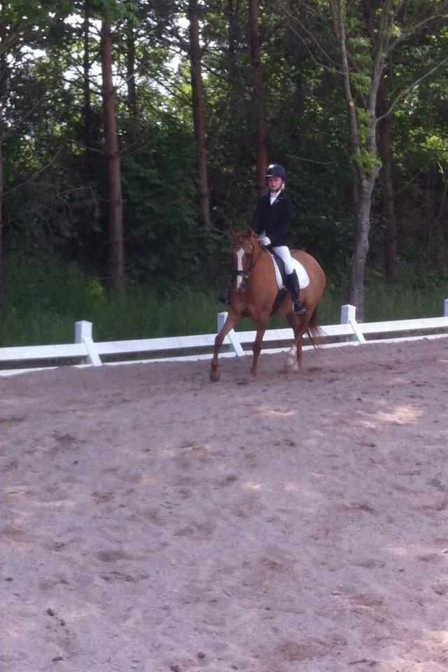 DSP RS Private Dancer - SOLGT billede 9