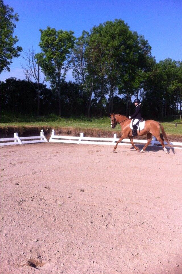 DSP RS Private Dancer - SOLGT billede 10