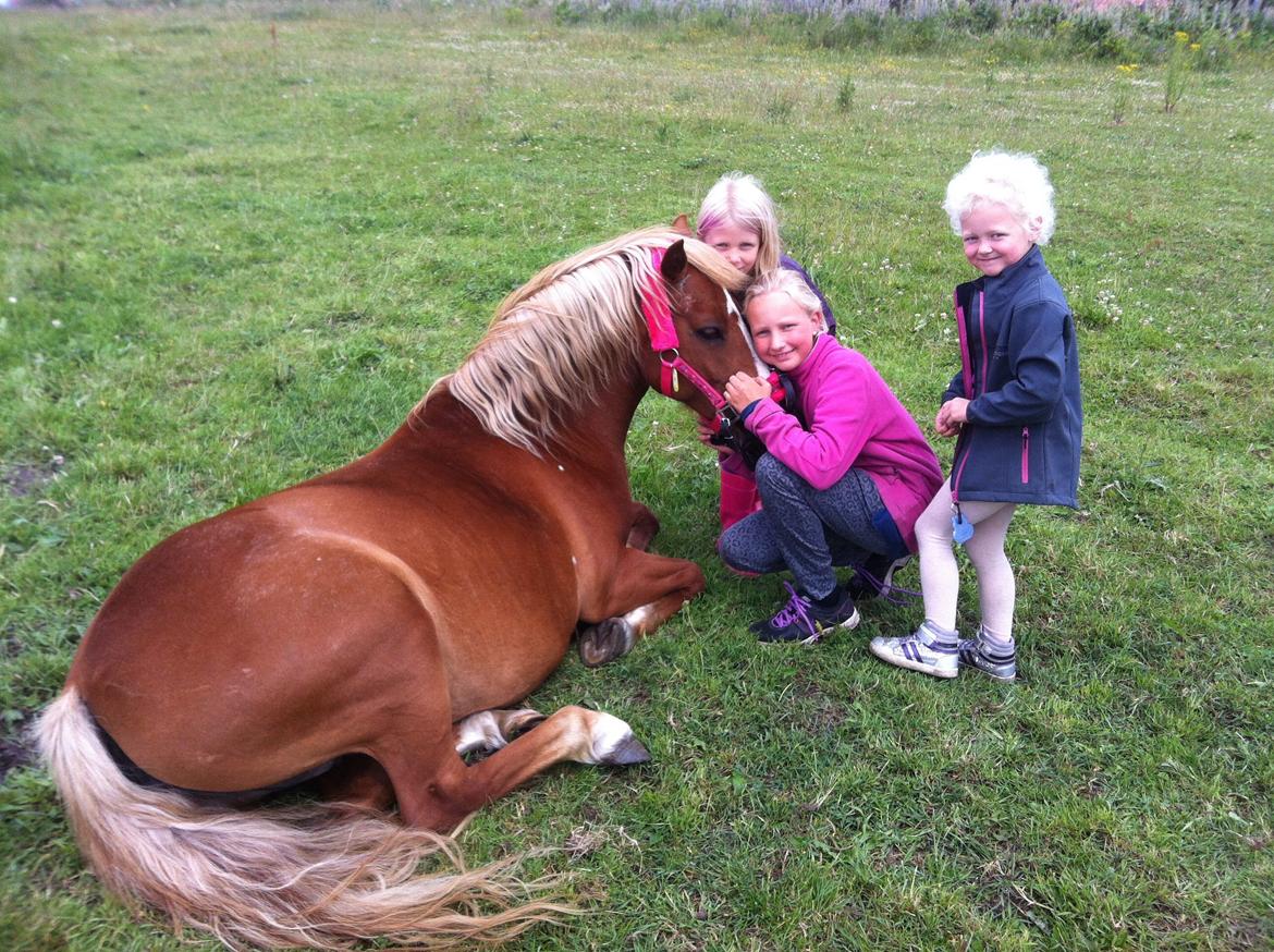Anden særlig race Miss Dolly (Tamara)  billede 42