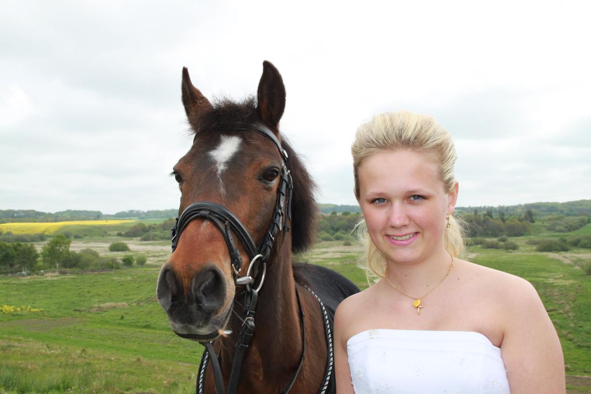 Anden særlig race Dyrkærgårds Atlantis - min konfirmation 16 maj billede 17