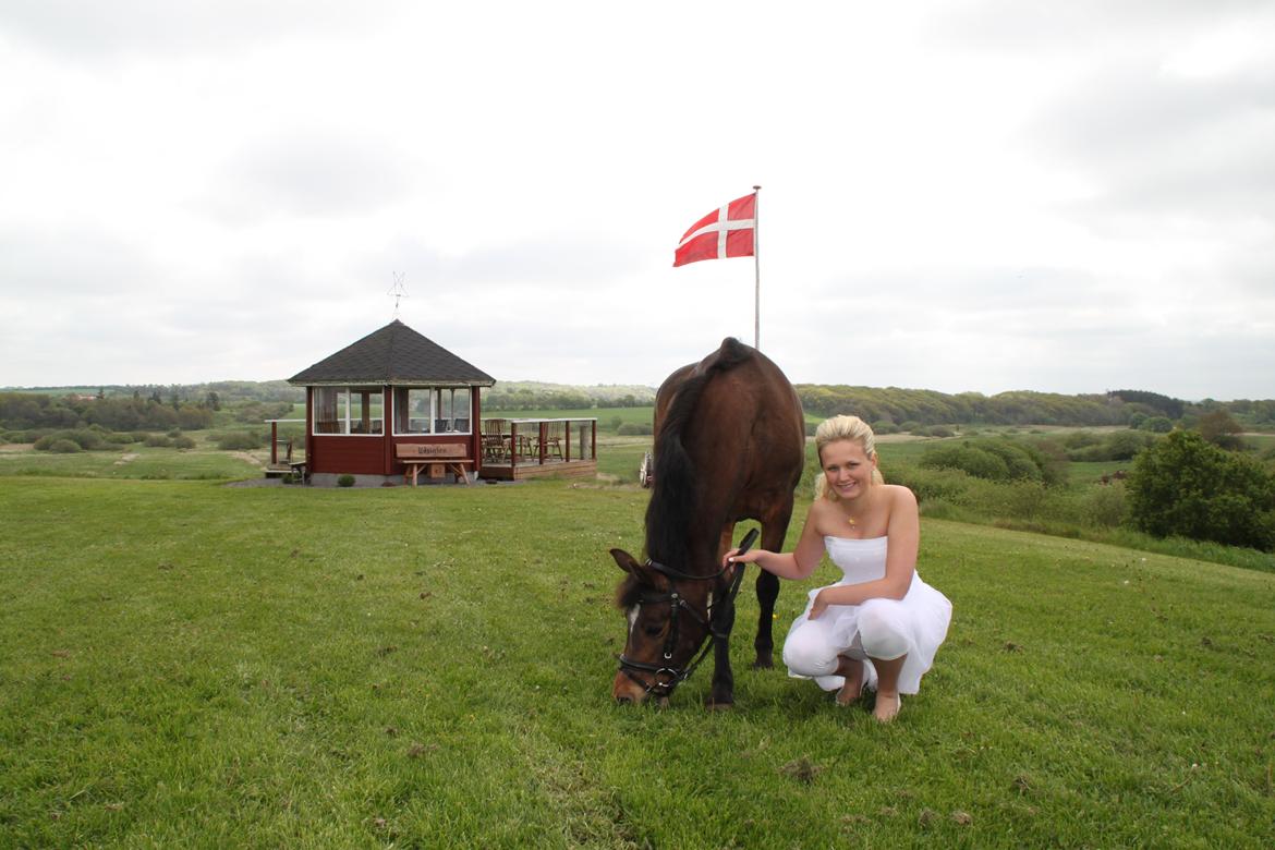 Anden særlig race Dyrkærgårds Atlantis - man bliver altså sulten af at få taget billeder billede 20