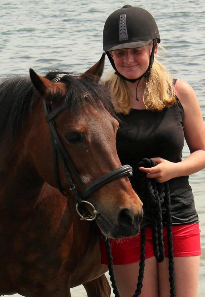 New Forest Cayenne  - Nothng better then standing by your side billede 4