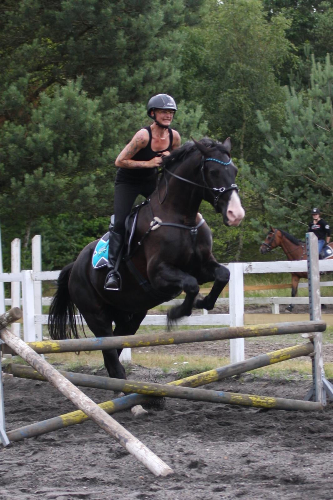 Anden særlig race Klitgaards Mr Big *R.I.P* - 3 gang spring på banen 2 Juli 2014 billede 2