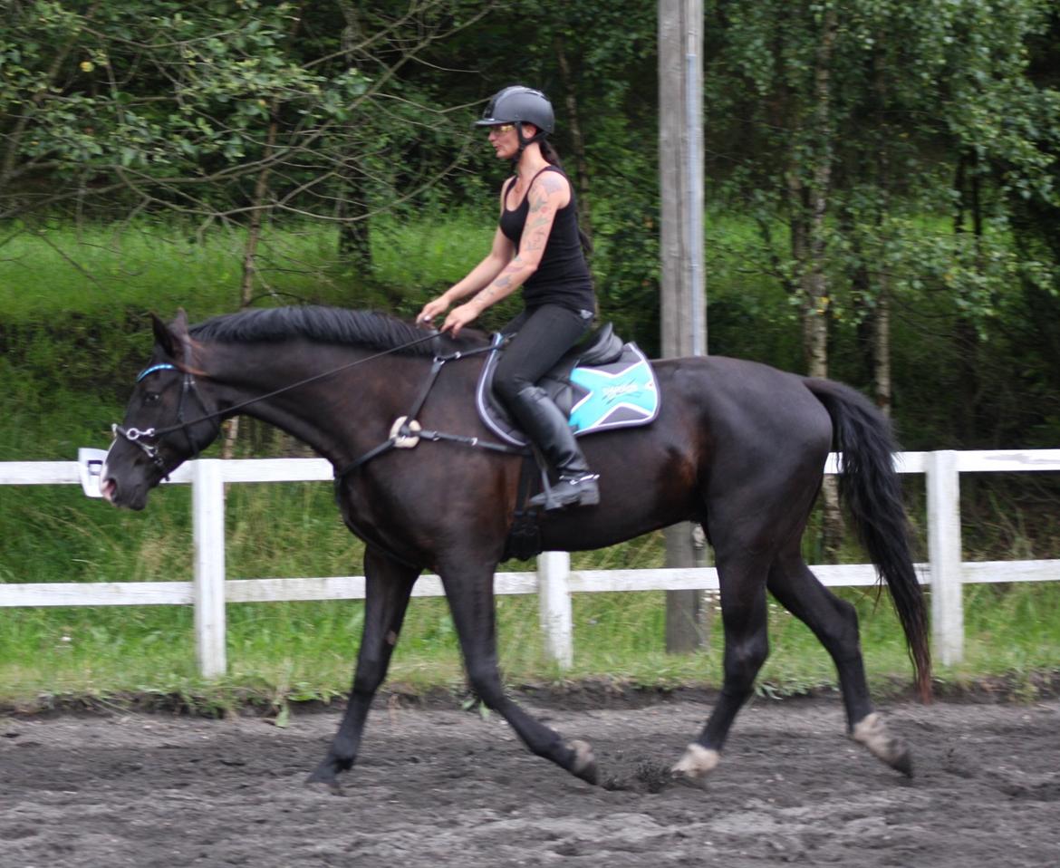 Anden særlig race Klitgaards Mr Big *R.I.P* - Dejlig ungheste form 3 Juli 2014 billede 3