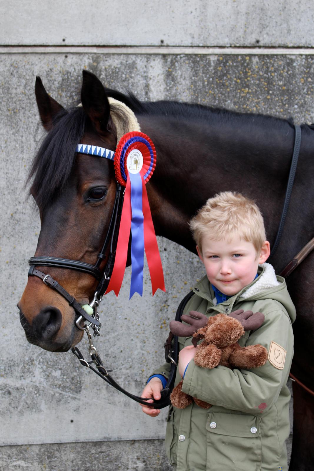 Tysk Sportspony Verdi - Verdi og min lillebror Kalle :) billede 4