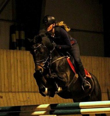 Tysk Sportspony Verdi - springtræning januar 2014 billede 16