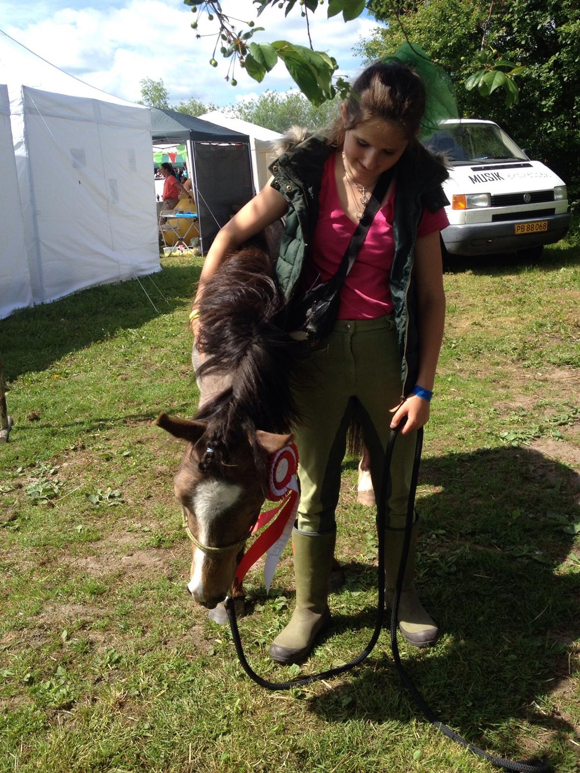 Welsh Pony (sec B) Muffe billede 19