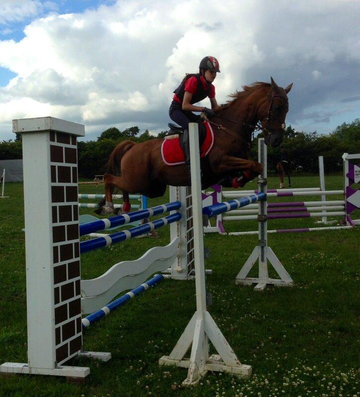 Anden særlig race Top  murdoch billede 16