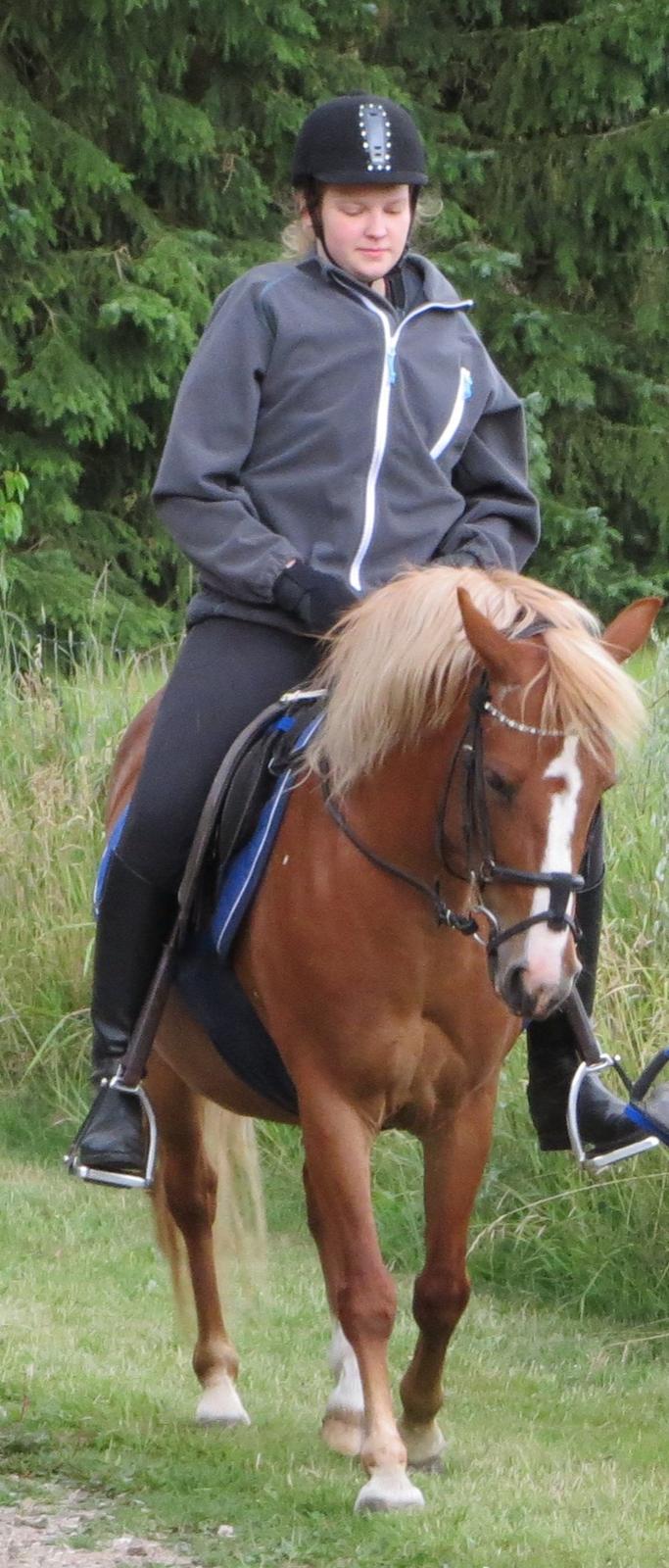 Anden særlig race Miss Dolly (Tamara)  billede 49