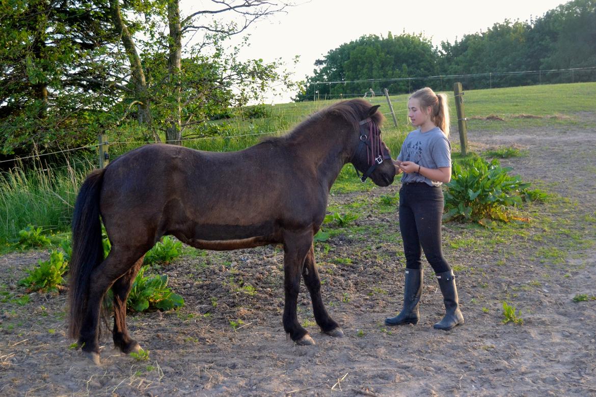 Islænder Röskva [Tidl. part] - April 2014 billede 27