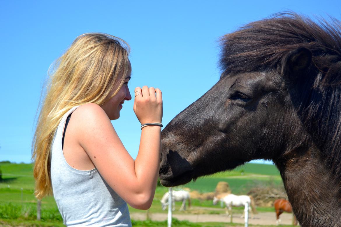 Islænder Röskva [Tidl. part] - Kys - April 2014 billede 26