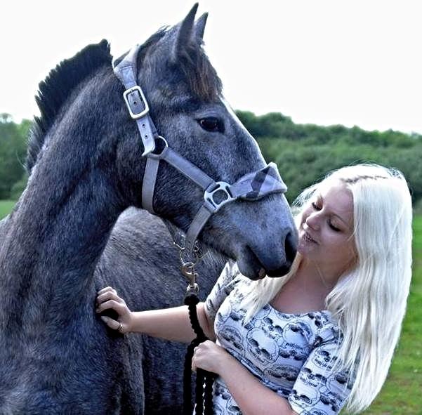 Barockpferd Nordlicht's Anarchy - Anarchy og jeg på vores fælles fødselsdag - 1 og 21 år :) billede 3