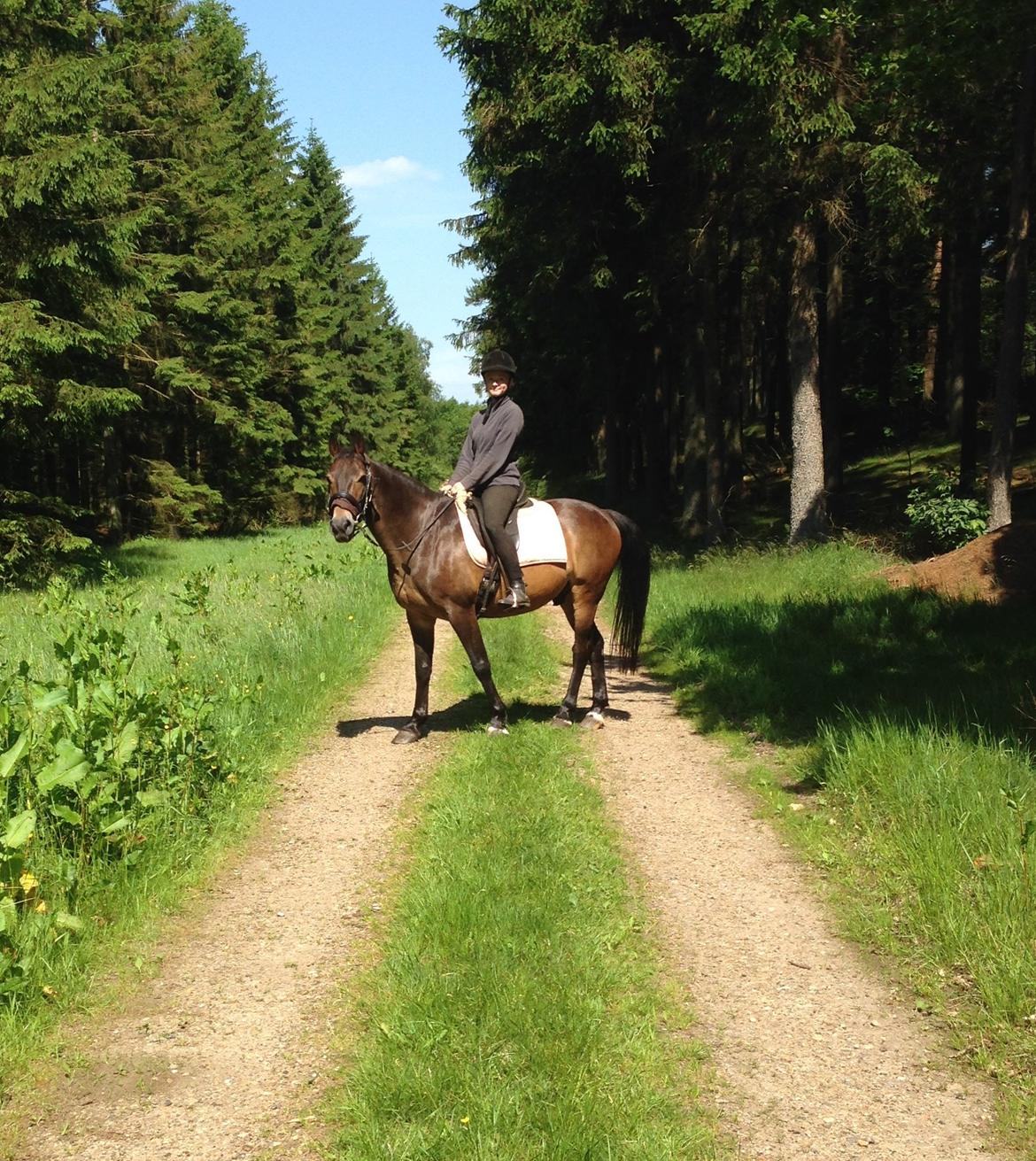 Anden særlig race Oscar - Ossie <3 - SOLGT - Mig og Oscar på tur i skoven :-) billede 18