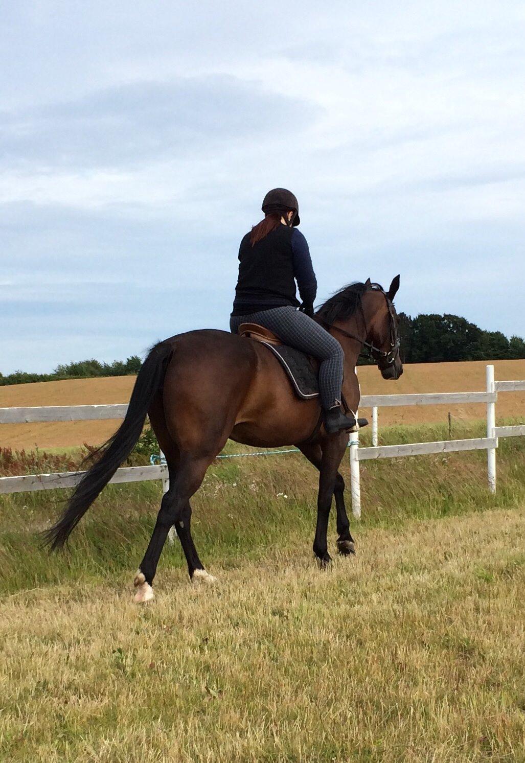 Traver Super Susser billede 12