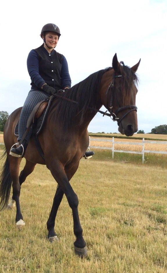 Traver Super Susser billede 13