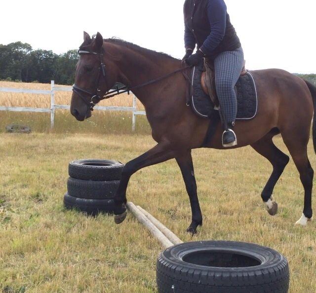 Traver Super Susser billede 14