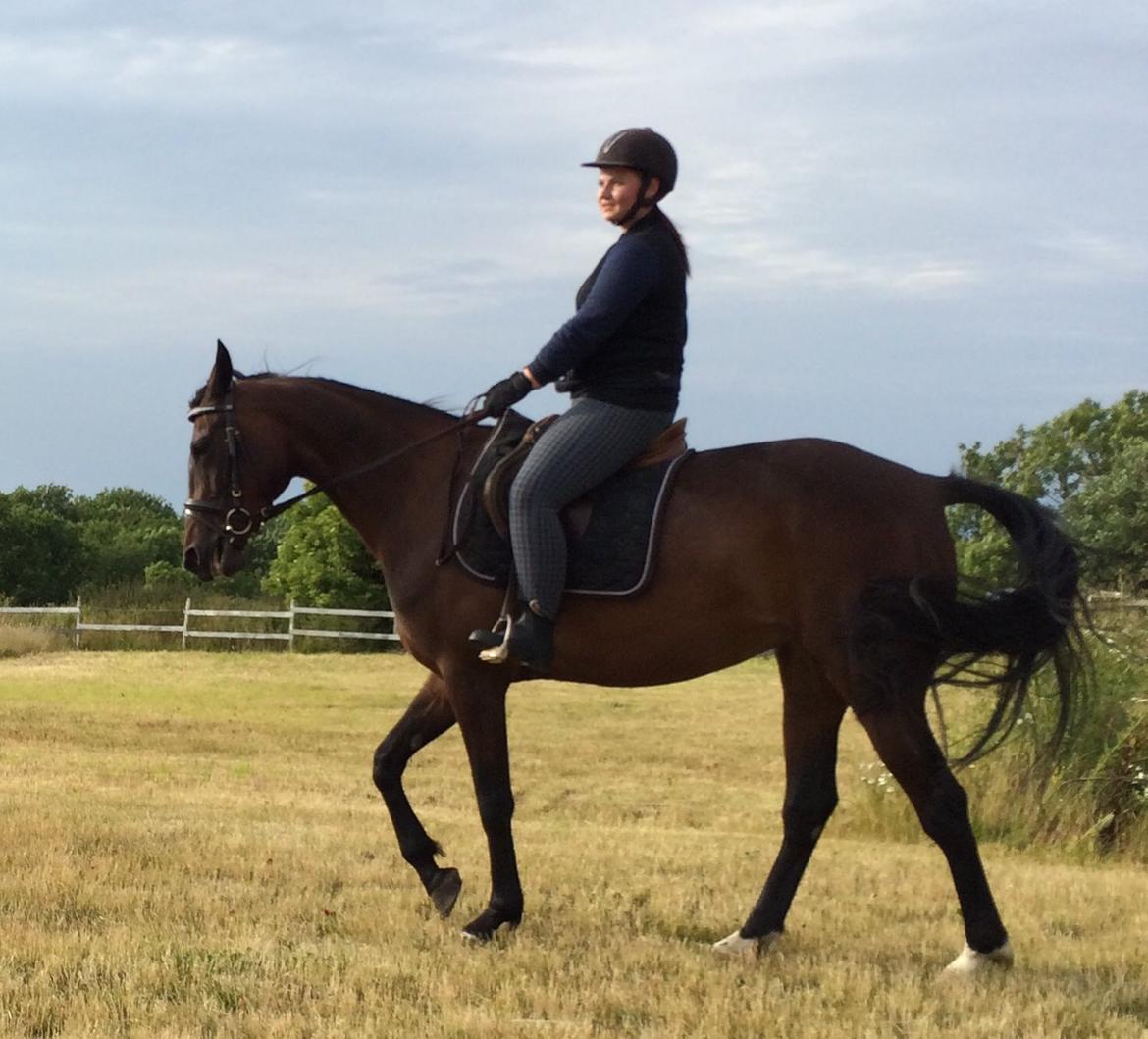 Traver Super Susser billede 17