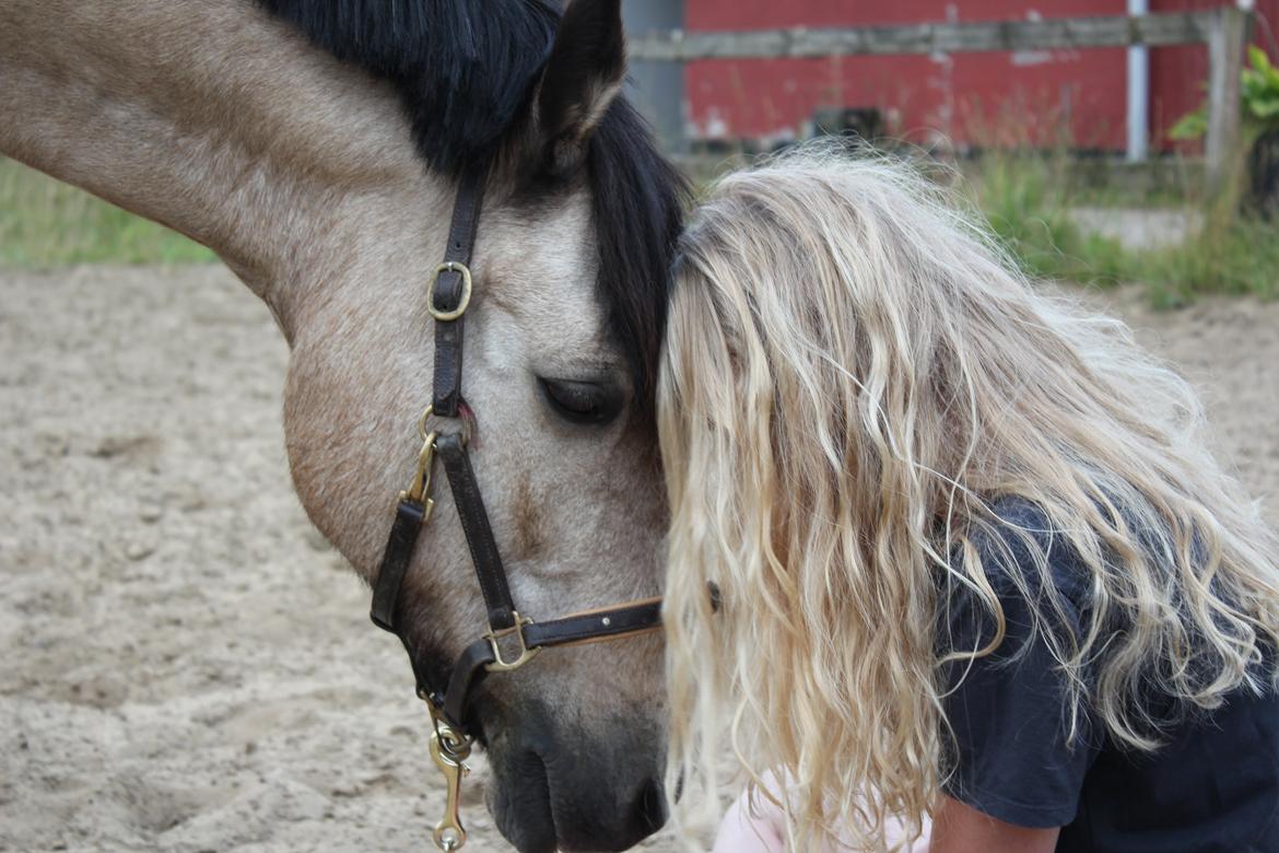 Connemara Kikki<3 billede 20