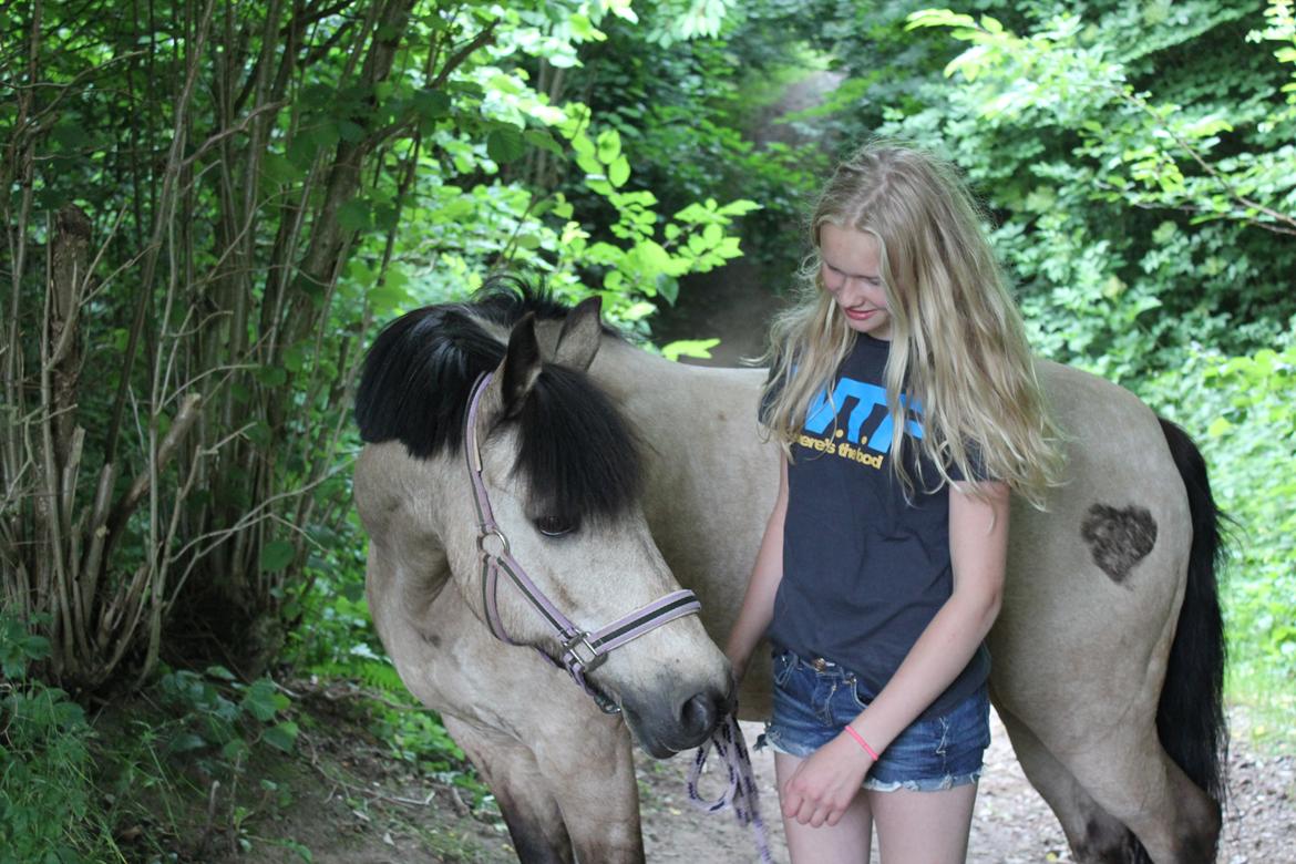 Connemara Kikki<3 billede 12