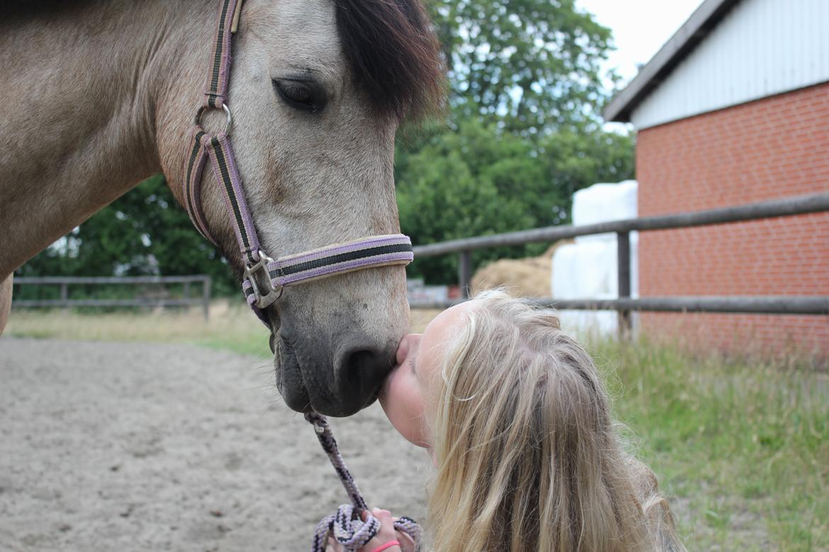 Connemara Kikki<3 billede 16