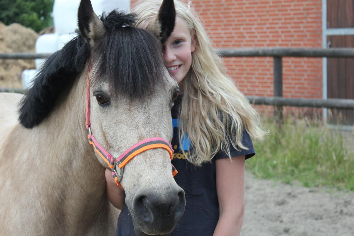 Connemara Kikki<3 billede 5