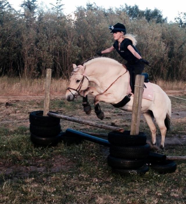 Fjordhest Thor - Nanna og Thor er så gode!<3 billede 4