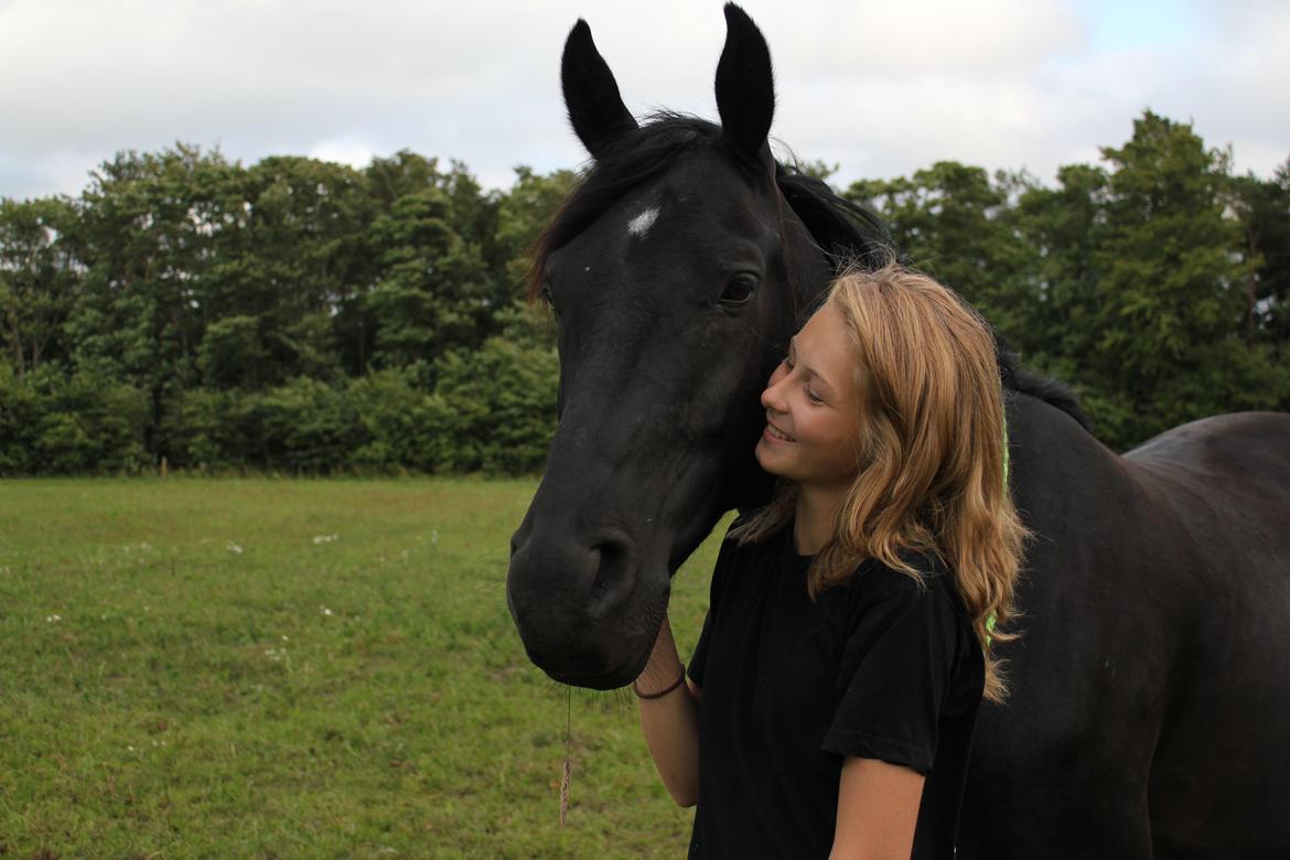 Anden særlig race MartiniQue, ^^min savnede hest - freedom :) billede 2