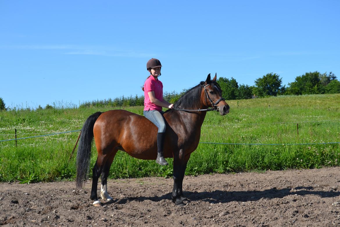 Anden særlig race Merza´s Gwendolyn billede 11