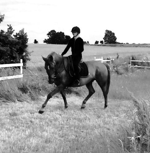 Anden særlig race Nikita billede 16