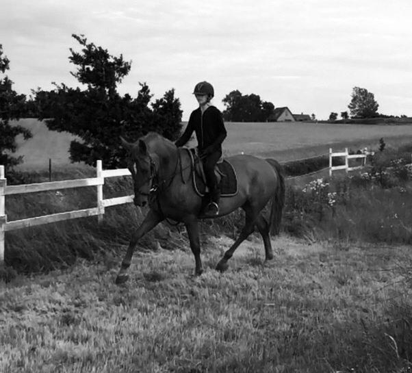 Anden særlig race Nikita billede 20