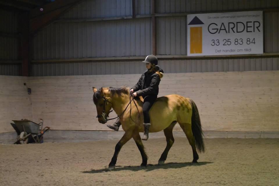 Anden særlig race Lady billede 24