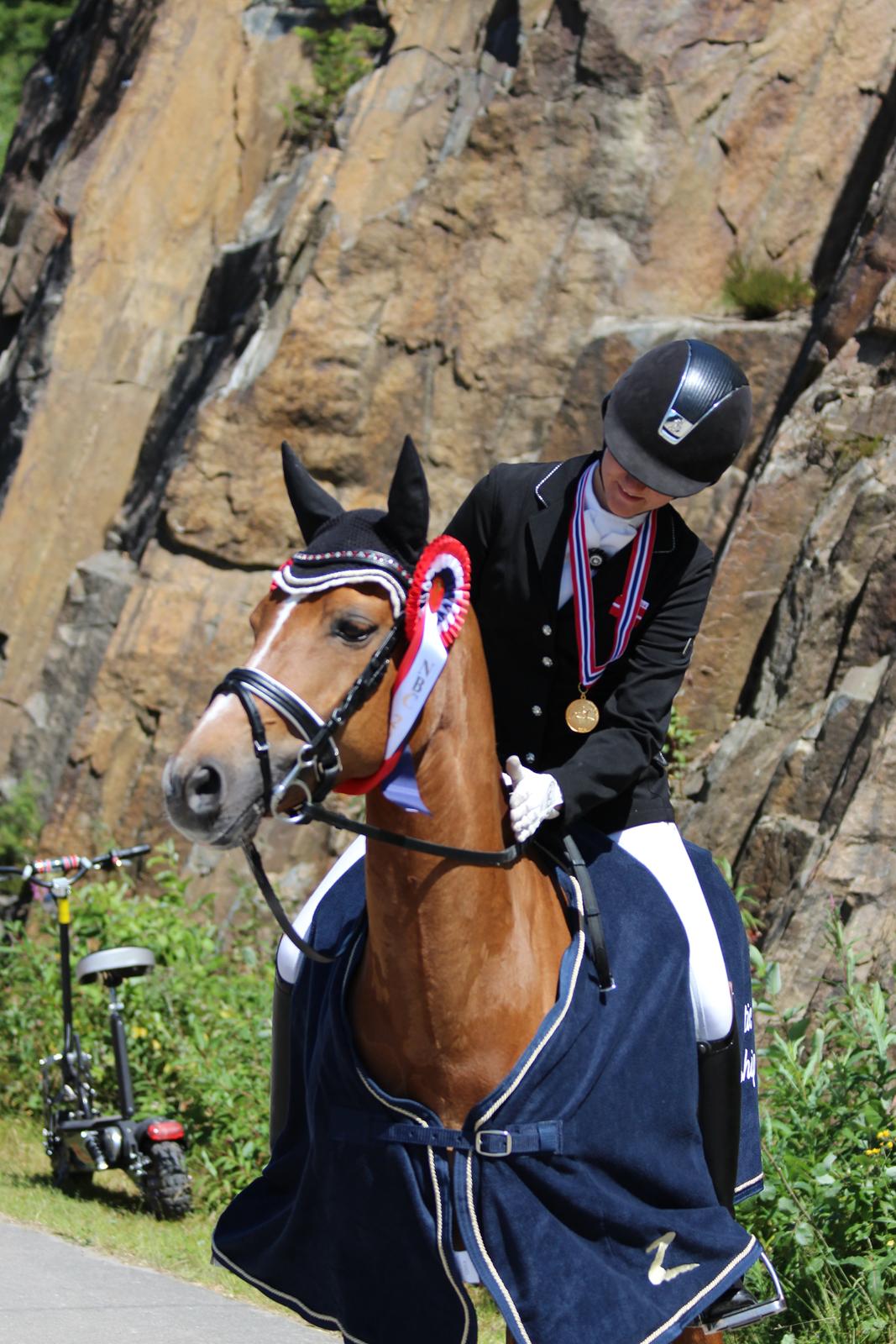 Hollandsk Sportspony Lasco A-pony billede 3