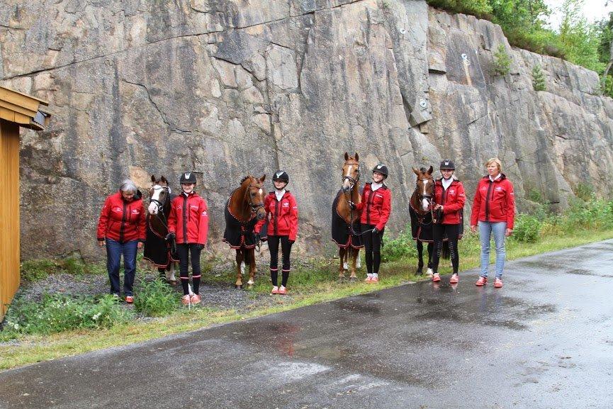 Hollandsk Sportspony Lasco A-pony billede 4