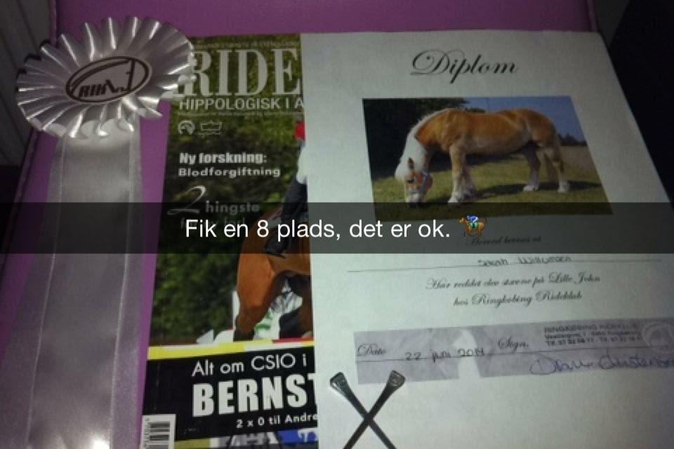 Haflinger Lille Jhon billede 4