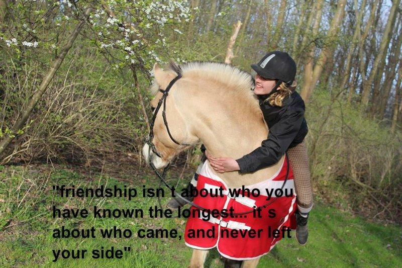 Fjordhest Sif (pony) ¤my soulmate¤ billede 18