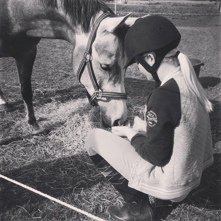 Arabisk fuldblod (OX) Badi Al Zaman - Første dag hos mig :) billede 1