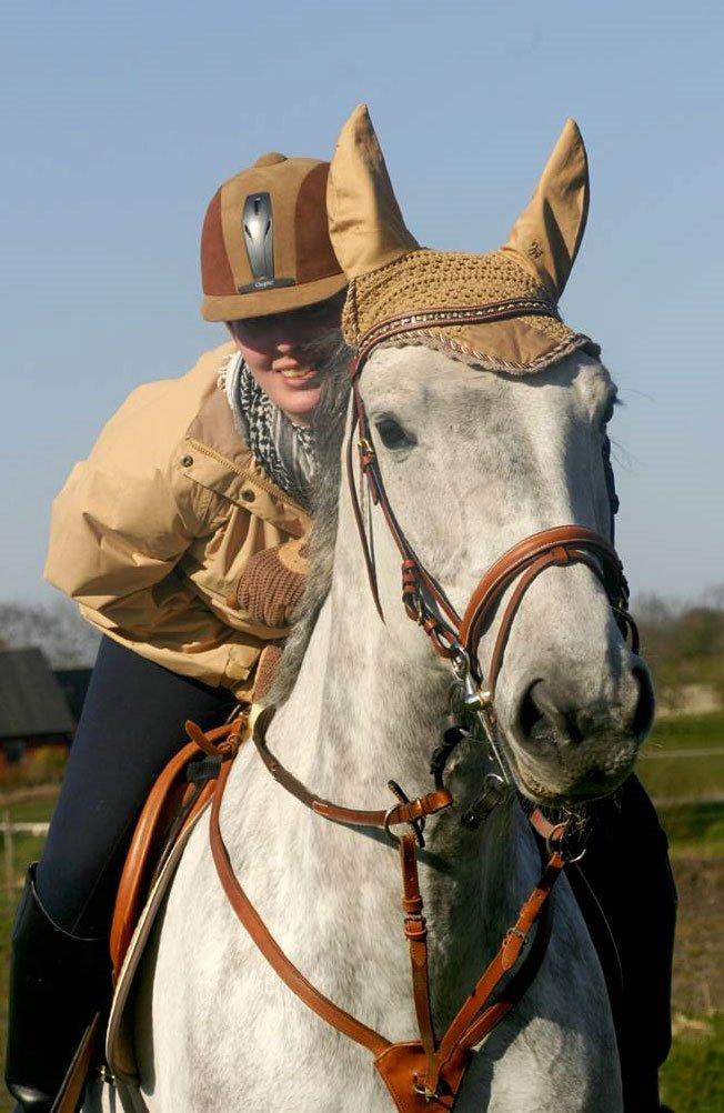 Dansk Varmblod Hoeck's Corina *For evigt elsket <3* - Vi hygger :) billede 11