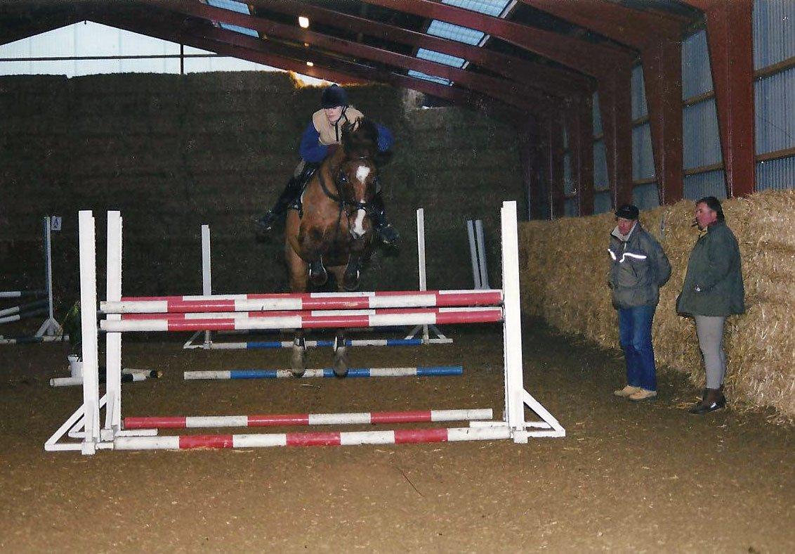 Dansk Varmblod C-Mol *For evigt elsket <3* - Kursus ved Bent Pedersen billede 27