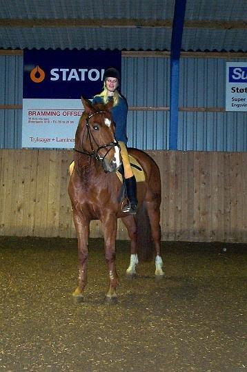 Dansk Varmblod C-Mol *For evigt elsket <3* - Første ridetur, da jeg fik ham hjem i 2000 :) En lykkens dag :) billede 30