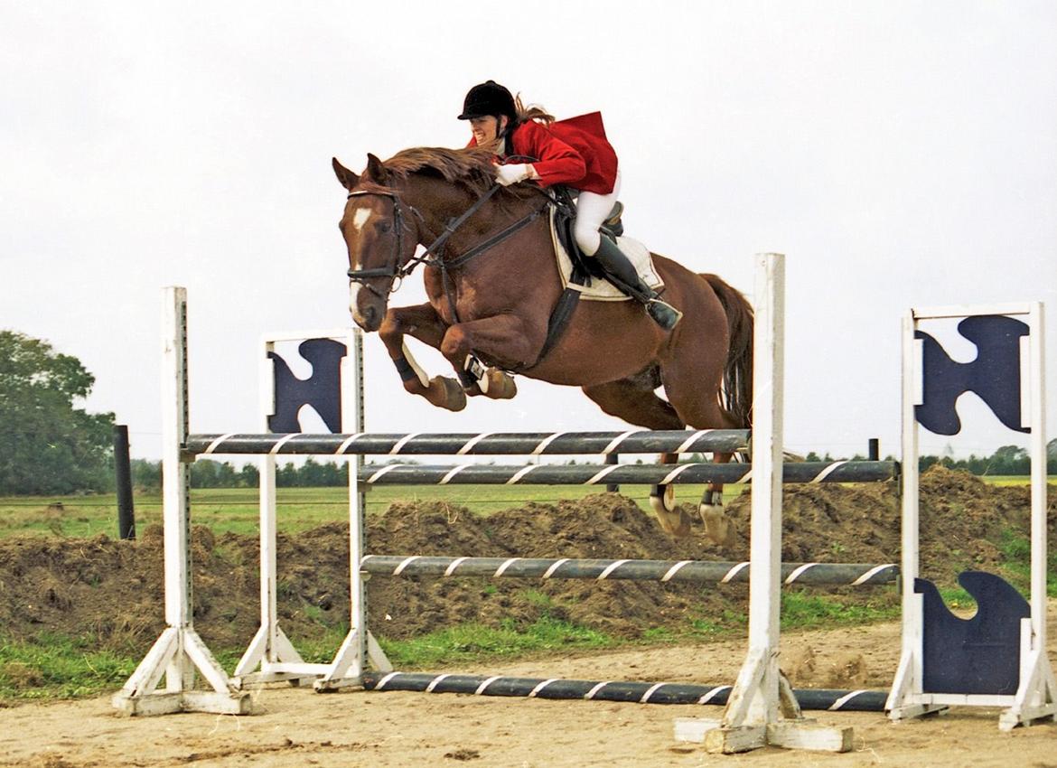 Dansk Varmblod C-Mol *For evigt elsket <3* - Molle og mig springer :) billede 1