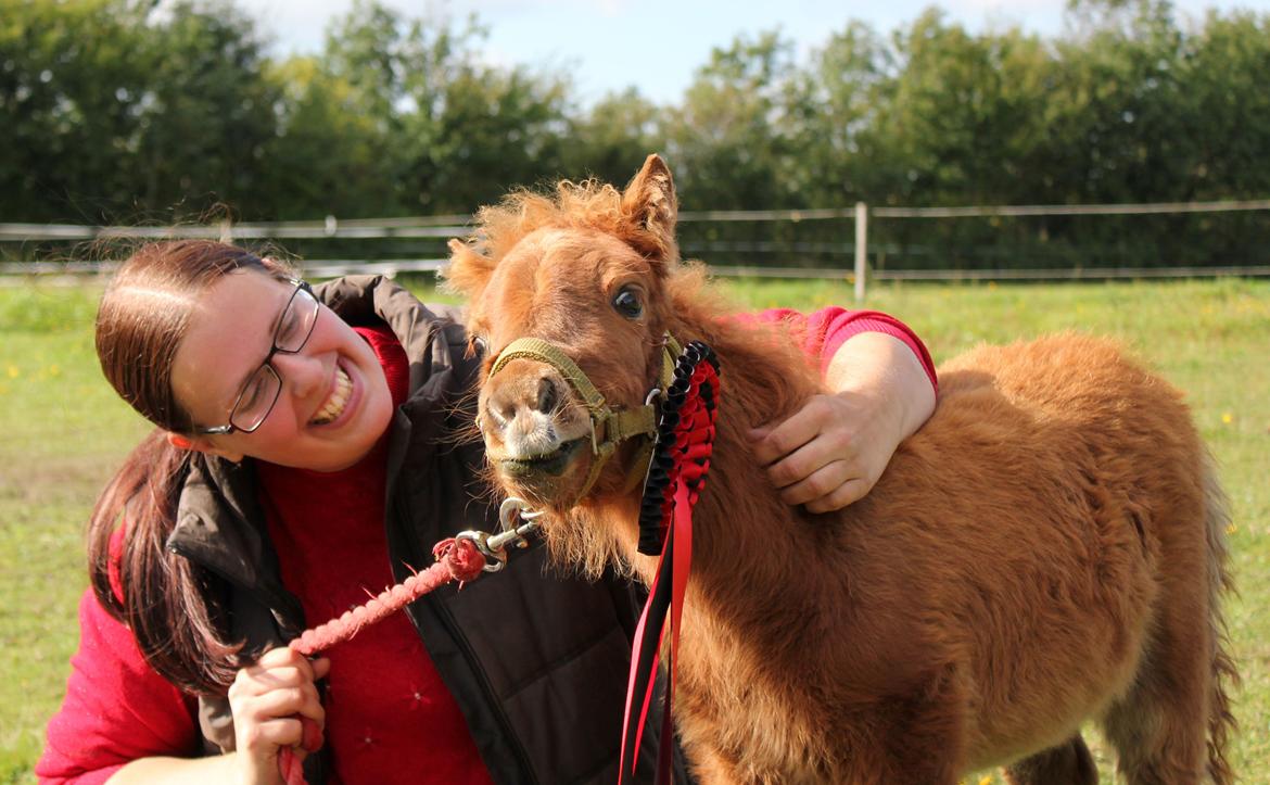 Anden særlig race Cera *Dele-Pony* (SOLGT) - Cera med sin ISH roset billede 23