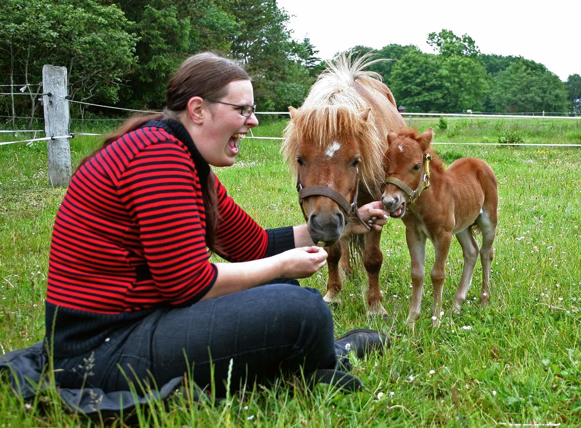 Anden særlig race Cera *Dele-Pony* (SOLGT) - Cera æder min finger :D (Heldigvis har hun ingen tænder) billede 28