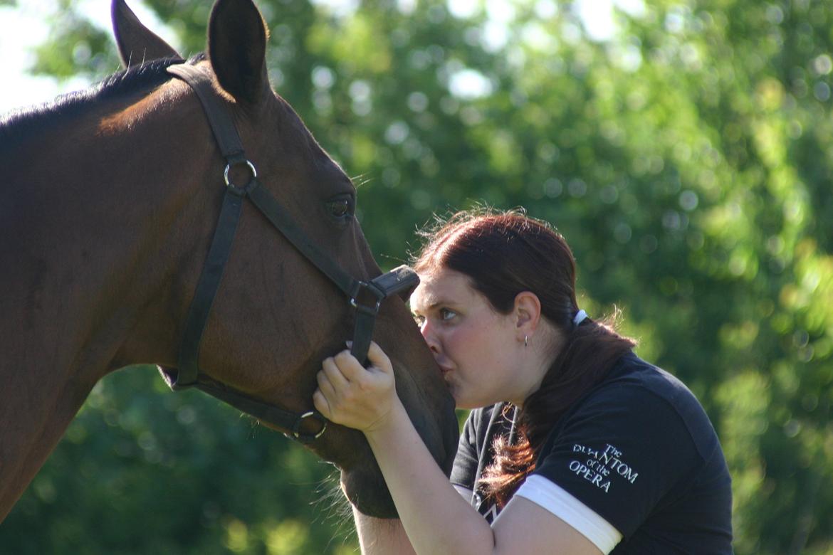 Dansk Varmblod Fiona - Mys til den smukke dame :) billede 25