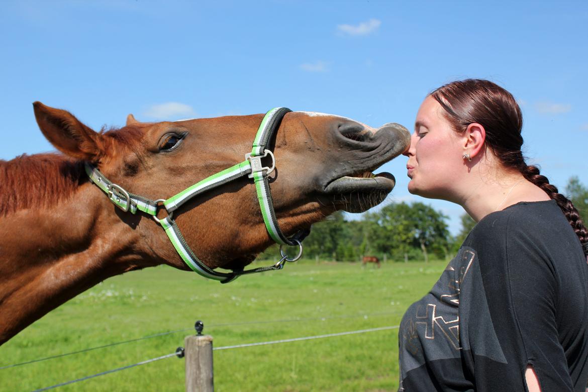 Anden særlig race Athene (SOLGT) - Mys fra den store dame :) billede 12