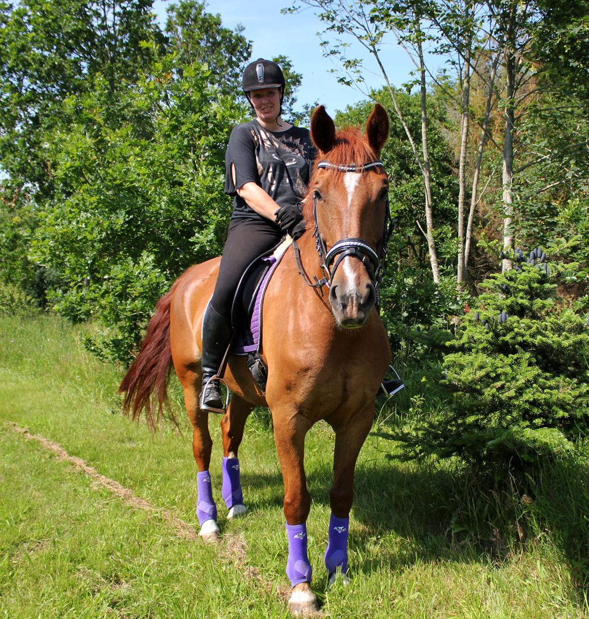 Anden særlig race Athene (SOLGT) - På tur billede 21