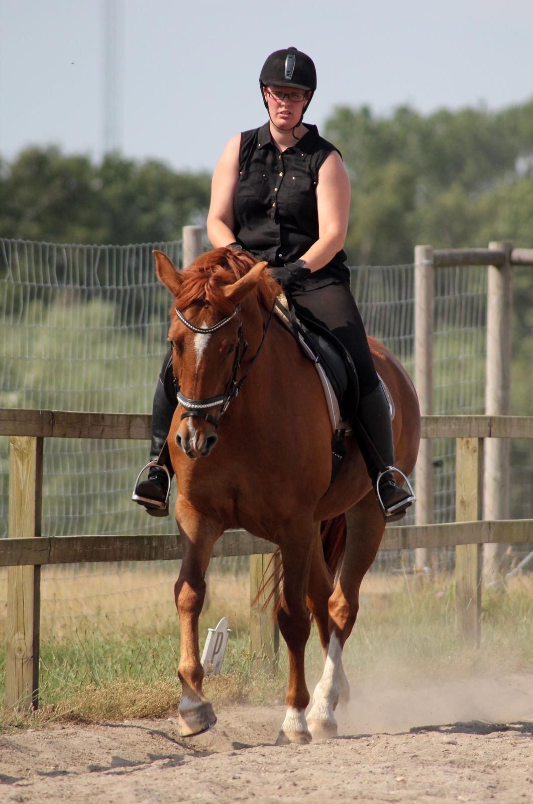Anden særlig race Athene (SOLGT) - Dressur billede 34