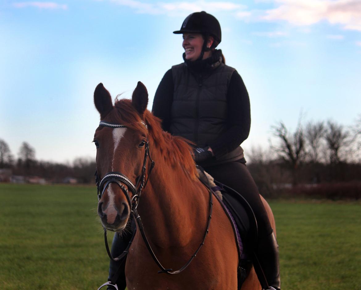 Anden særlig race Athene (SOLGT) - På tur billede 32