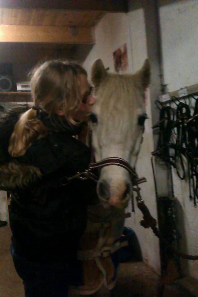 Anden særlig race Apollon *Polle* billede 6